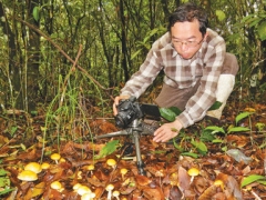 《人民日?qǐng)?bào)》點(diǎn)贊這位“蘑菇先生”——中科院昆明植物所研究員楊祝良 ()