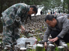 貴州劍河岑松：食用菌助農(nóng)增收 ()