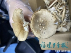 廈門男子吃完蘑菇半小時中毒進ICU！快告訴家人千萬別亂吃 ()