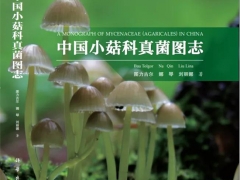 吉林農(nóng)業(yè)大學(xué)圖力古爾教授團隊著作《中國小菇科真菌圖志》正式出版 ()