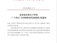 農(nóng)業(yè)部發(fā)布《“十四五”全國(guó)種植業(yè)發(fā)展規(guī)劃》 2025年力爭(zhēng)食用菌總產(chǎn)量4000萬(wàn)噸 ()