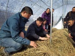 華中農(nóng)業(yè)大學(xué)邊銀丙教授赴仙桃、宜昌等地開展“鄉(xiāng)村振興荊楚行”工作 ()